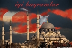 Bayrak NZOBQ